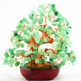 Money Tree