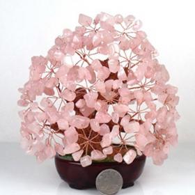 Money Tree