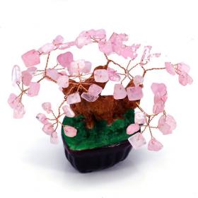 Money Tree