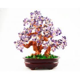 Money Tree